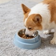 thumbnail image 4 of Blue Elevated Stainless Steel Pet Bowl With Cat Face Design For Digestion And Neck Protection Small Medium Dogs Cats, 4 of 6