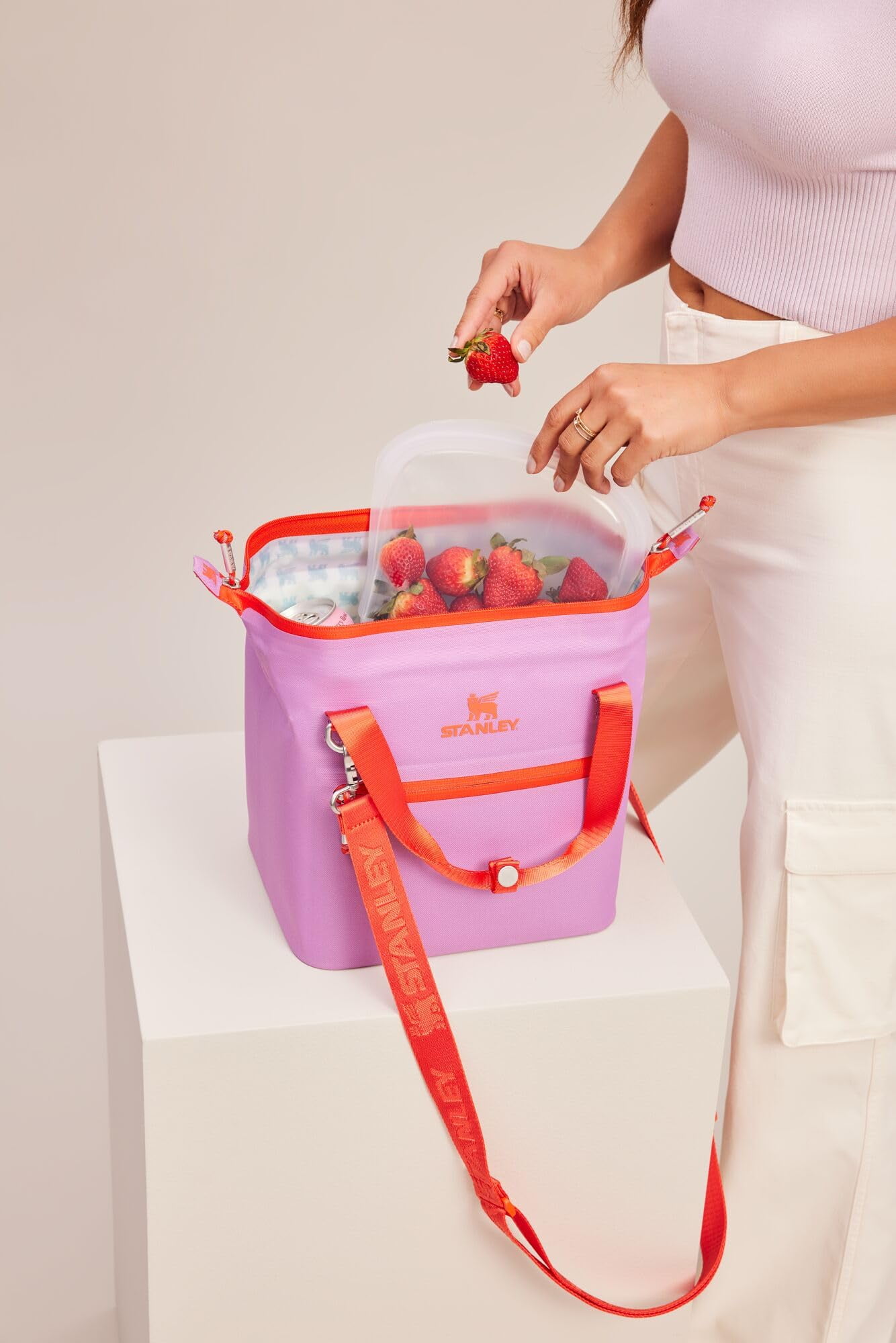 Stanley All Day Julienne Mini Soft Cooler Bag and Lunch Box 12 qt