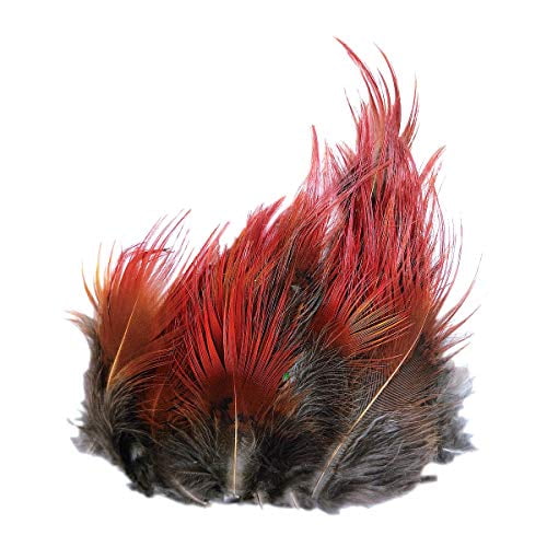 Pheasant with Red Feathers Feathers for your cap Plumage 