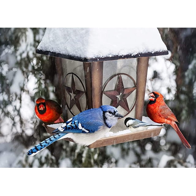 Diamond Drill Birds in Ice and Snow 5D DIY Painting Kits Full Round Art (WT1509) Hugtrwg Para estrenar