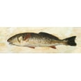thumbnail image 2 of Johnson, Walt 24x11 Gold Ornate Wood Framed with Double Matting Museum Art Print Titled - Catch of the Day II, 2 of 4