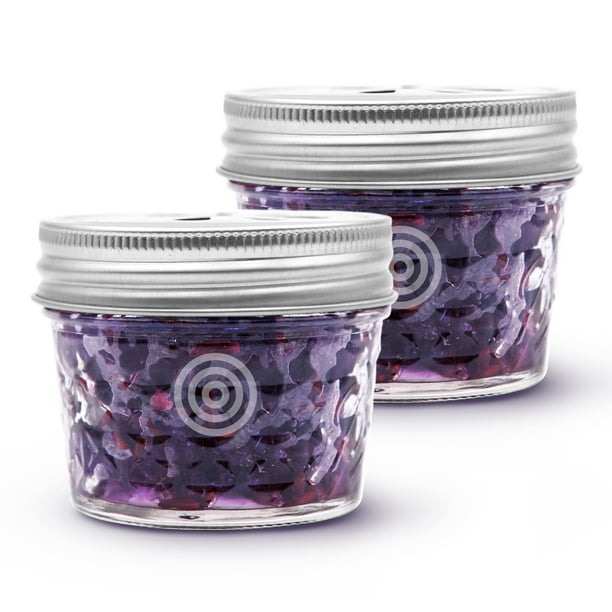 VIOIS, Lavender Aromatherapy Natural Car Air Freshener(Gel Type) 4oz. jar. (2 Pack) Walmart