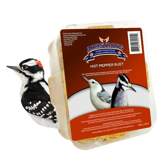 Armstrong Wild Bird Food Hot Pepper Suet Cake, 10.6oz