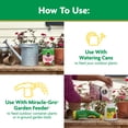 thumbnail image 6 of Miracle-Gro Water Soluble Rose Plant Food, 1.5 lbs., Feeds Instantly, 6 of 11