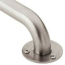 Moen Stainless 24" Exposed Screw Grab Bar