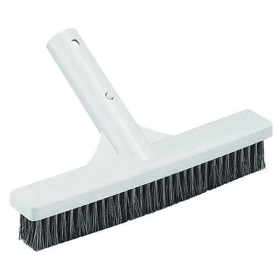 Manufacturer Varies Algae Brush,6 in L,White 2ZTY4