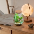 thumbnail image 3 of 1Pack Simple Style Glass And Wood Micro Landscape Terrarium For Home, 3 of 8