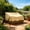 Beige, variant on Aufmer Drawstring Design Outdoor Leisure Chair Cover Windproof Anti UV Thickened Protective Shell For Single Sofa Armchair Garden Furniture Daily Shield(98x89x79cm)
