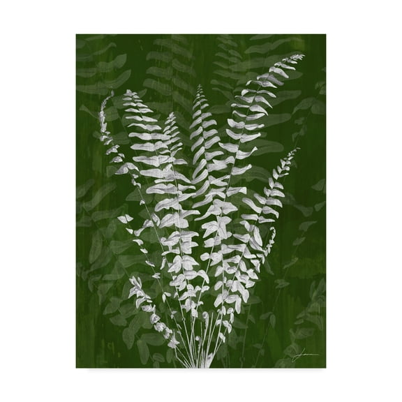 Trademark Fine Art 'Jewel Ferns I' Canvas Art by James Burghardt