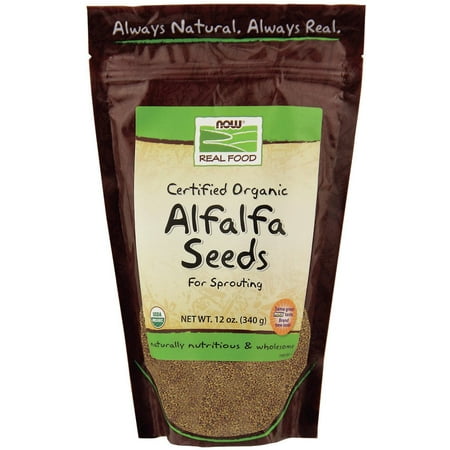 sprouting alfalfa