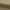 Coffee Brown, variant on Linon Lillian Upholstered Bench, Coffee Brown