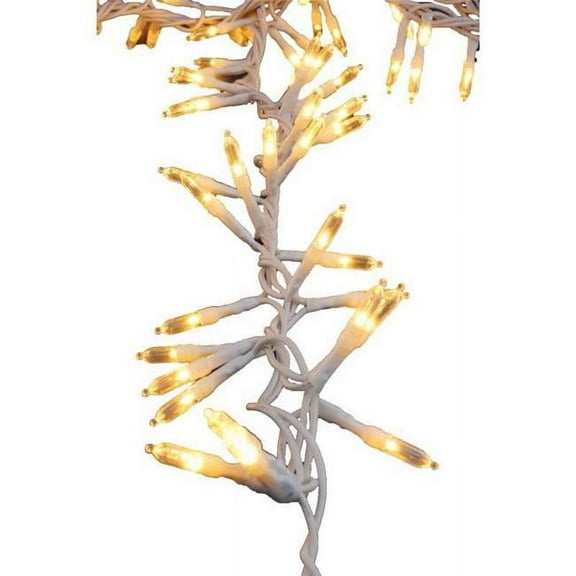 CMAS LGHT STRNG LED 9(Pack of 12)