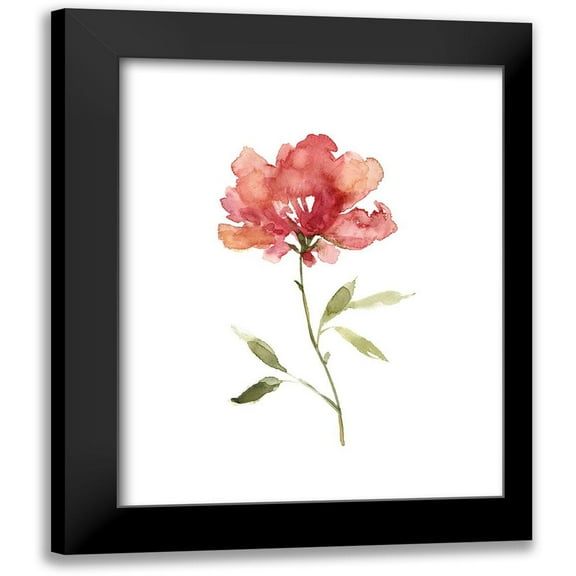Robinson, Carol 12x14 Black Modern Framed Museum Art Print Titled - Botanical Beauty I