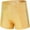 Gold, variant on Dancina Gymnastics Shorts Athletic Dance Wear - For Little and Big Girls in Classic and New Metallic Ice Colors
