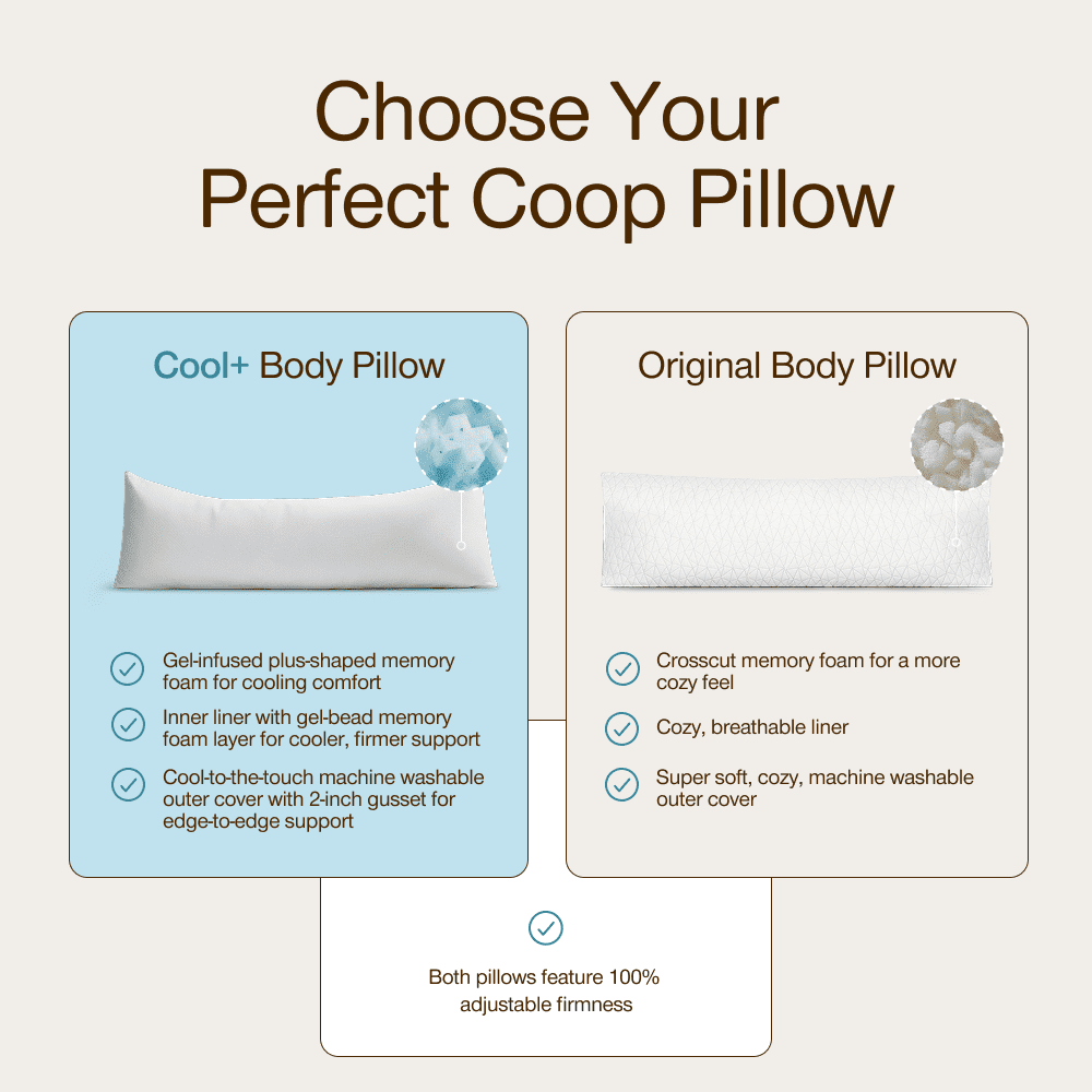Coop Home Goods Body Pillow for Bed with White Zip Pillow Protector, Pregnancy Pillow Bundle