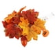thumbnail image 2 of Guirnalda de luces con forma de hoja de arce | Guirnalda otoñal con bellotas | Luces LED de calabaza a pilas para decoración de Halloween | Decoración para interiores y exteriores, 2 of 5