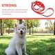 thumbnail image 5 of Dog Leash Polyester Long Training Lead for Obedience Recall, 5 of 5