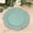 Dusty Sage Green, variant on Balsa Circle 20 Hunter Green Round 10" Plastic Dinner Plates Reef Design Disposable Tableware