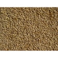 thumbnail image 3 of Barley 12 Lbs, Unhulled Barley (Hull Intact), LZHF Whole Grain Barley, Non-GMO, Kosher Certified, 3 of 5