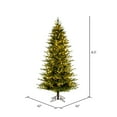 thumbnail image 3 of Vickerman 6.5' x 40" Kamas Fraser Fir Artificial Christmas Tree with 3mm LED Color Changing Lights, 3 of 7