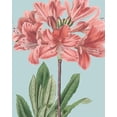 thumbnail image 2 of Vision Studio 26x32 White Modern Wood Framed Museum Art Print Titled - Fresh Florals III, 2 of 4