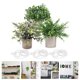 thumbnail image 4 of 1 juego de plantas artificiales en maceta para escritorio, adorno de bonsái., 4 of 4