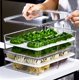 thumbnail image 5 of Organizador de congelador para dumplings: Bandejas apilables con tapa, ideal para almacenar ravioles, empanadas y verduras en la nevera, mantén tus alimentos frescos y organizados en la cocina., 5 of 5