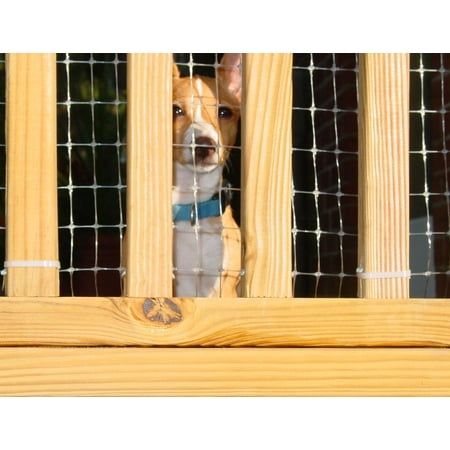 KidKusion Deck Guard