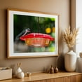 thumbnail image 5 of Hummingbird Drinking from the Feeder on a Summer Morning - Pennsylvania Photography Bird Wildlife Nature Garden Animal Botanical Scenic Unframed Wall Art Print 24 x 36 inches, 5 of 7