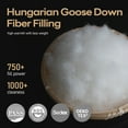 thumbnail image 3 of DOWNFORT Feathers Down Fiber Comforter Oversized King Size - High Fill Power All Season Fluffy and Cozy White, 3 of 11