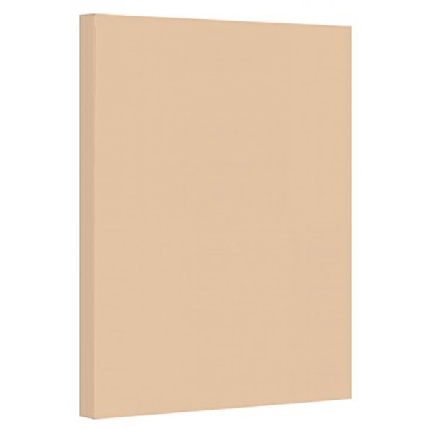 1 Case of 2000 Sheets, 8.5" x 11" Card Stock Paper, 67Lb Vellum Bristol