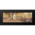 thumbnail image 2 of Frank, Assaf 18x9 Black Modern Framed Museum Art Print Titled - Canal through forest, 2 of 5