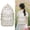 Cherries, variant on FXMLRLK 2026 Cute Preppy Bag Floral Printed Kawaii Backpack Cottagecore Aesthetic Backpack Laptop Daypack (Roses)