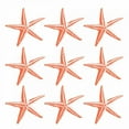 thumbnail image 2 of Grey, Jace 15x15 White Modern Wood Framed Museum Art Print Titled - Starfish Tropical, 2 of 4