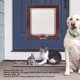 thumbnail image 4 of Puerta con solapa para gatos fijada de forma segura Bloqueo de 4 vías Fácil instalación Reduce el ruido Puerta para mascotas para puertas interiores y exteriores ANGGREK Otros, 4 of 8