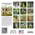 thumbnail image 3 of 2025 2026 Irish Wolfhound Calendar - Dog Breed Monthly Wall Calendar - 12 x 24 Open - Thick No-Bleed Paper - Giftable - Academic Teacher's Planner Calendar Organizing & Planning - Made in USA, 3 of 10