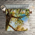thumbnail image 2 of Ambesonne Landscape Quilted Coverlet 3 Pcs, Vibrant Summer Sky, Queen Size, Green Brown, 2 of 2