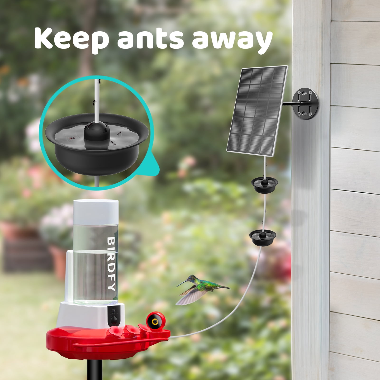Hummingbird Feeders Ant Prevention Devices Ant Pool Pest Traps