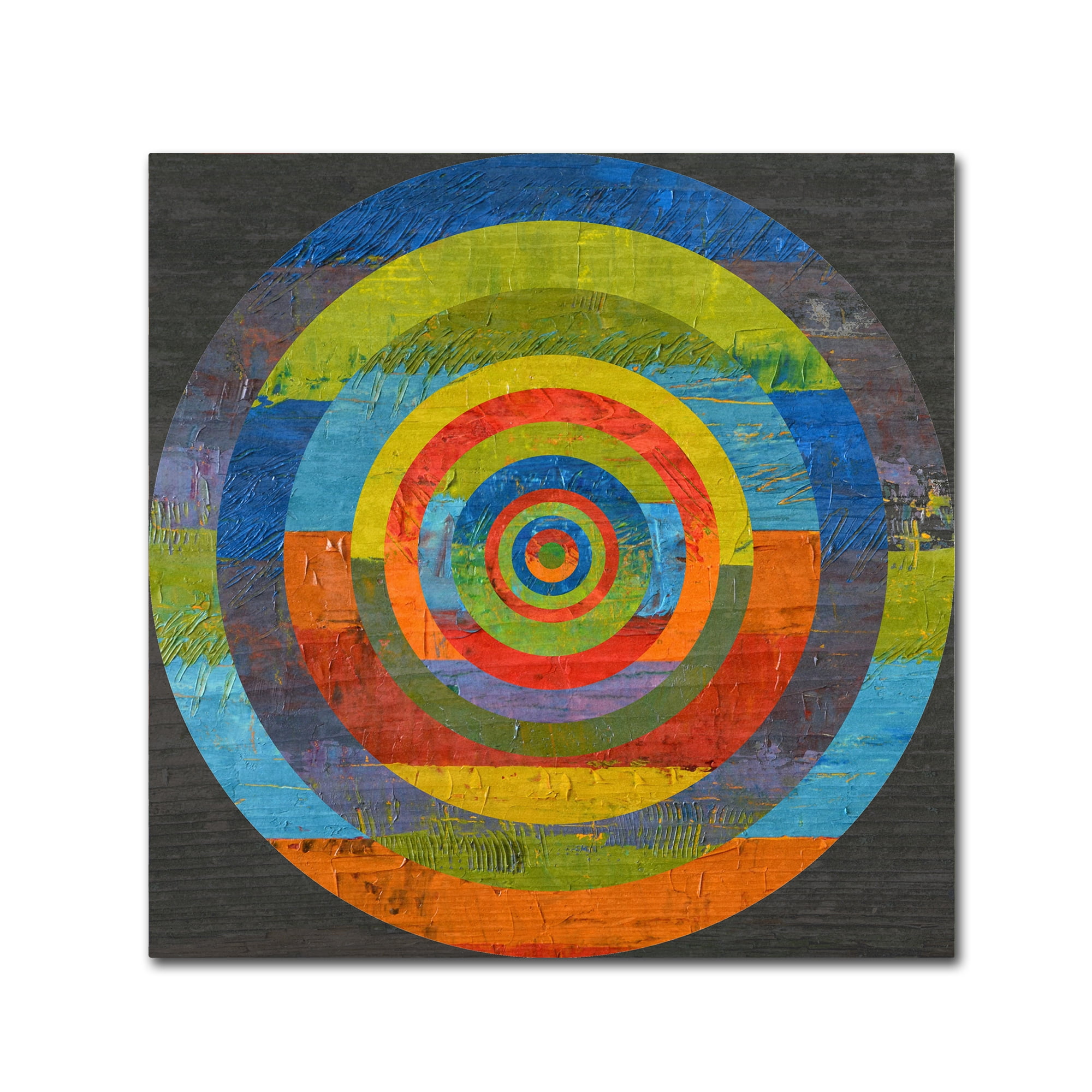 Trademark Fine Art "Full Circle" Canvas Art by Michelle Calkins