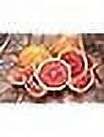 Squirt Grapefruit Flavored Carbonated Caffeine Free Soda Bundled by Louisiana Pantry (Squirt Original, 24 Pack 20oz Bottles)
