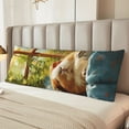 thumbnail image 4 of KLL Ultra Soft Microfiber Body Pillow Cover/Pillowcases 20"x54" with Hidden Zipper Closure-Lazy Home Style Guinea Pig, 4 of 5