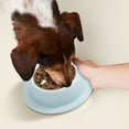 thumbnail image 4 of Comedero lento para perros, comedero lento para cachorros, comedero para mascotas, forma de An Ti, comedero para gatos, comedero para perros, comedero lento, comedero para mascotas, 4 of 5