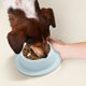thumbnail image 4 of Comedero lento para perros, comedero lento para cachorros, comedero para mascotas, forma de An Ti, comedero para gatos, comedero para perros, comedero lento, comedero para mascotas, 4 of 5
