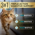 thumbnail image 2 of Purina Pro Plan AdvantEDGE Digestive Support Plus Adult Salmon and Rice Formula Dry Cat Food, 3 lb., 2 of 7