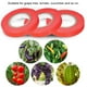 thumbnail image 3 of 20 Unids/set Cintas de Jardín Cinta de Jardín de Elasticidad que Evita la Senectud para Cinta Adhesiva de Plantas de Pepino de Tomate de Vid para Jardines ANGGREK  Otros, 3 of 8