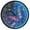 Butterfly in Galaxy, variant on Dailycode Night Light Wall Clock Glow in The Dark 12 inch Battery Operated Silent Luminous Clocks, Lizard and Leaf