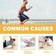 Back Muscle Joint And Muscle Bone Joint And Bone Joint Care Joint And
