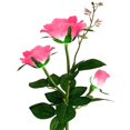 thumbnail image 4 of XZNGL 3 Head Solar LED Decorative Outdoor Lawn Lamp 3 Head Sun Rose Light, 4 of 9