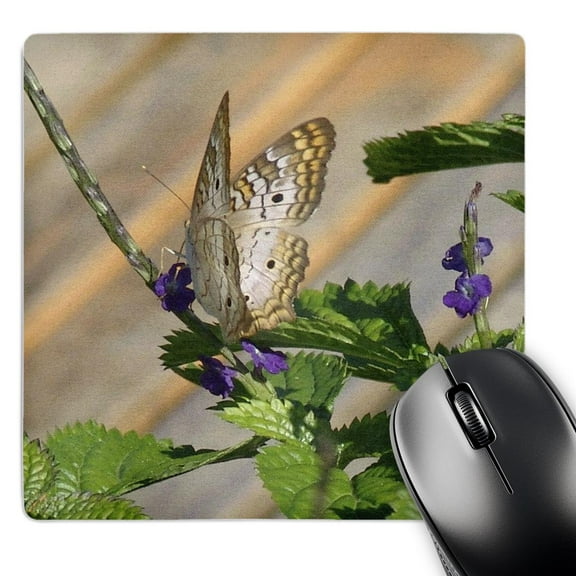 3dRose, Butterfly Pretty, MousePad
