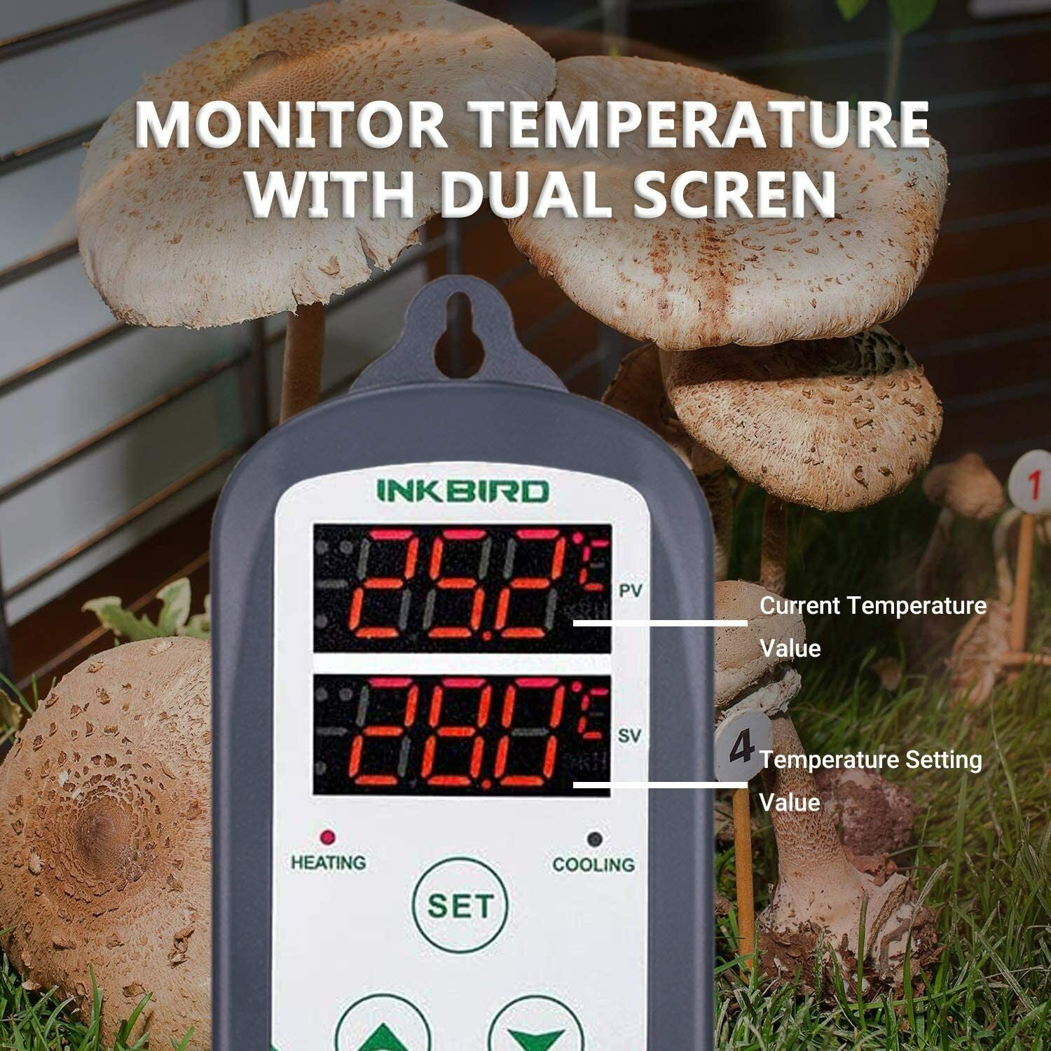 Inkbird Thermostat numérique ITC-308-WIFI – Thermostat de